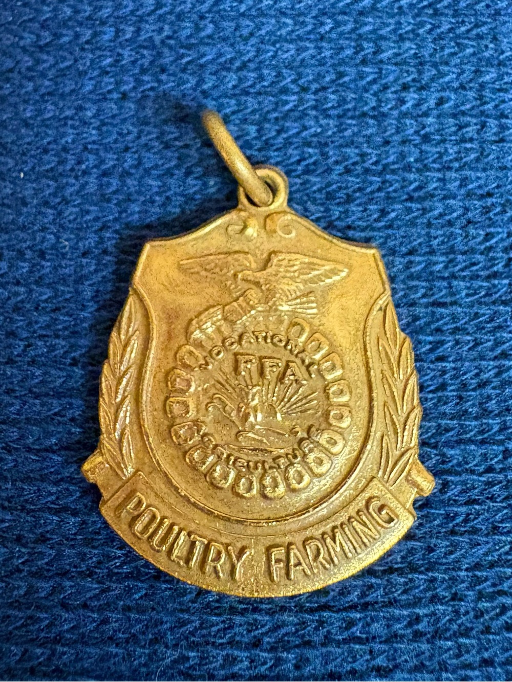 Pre-1988 FFA Poultry Farming Medal